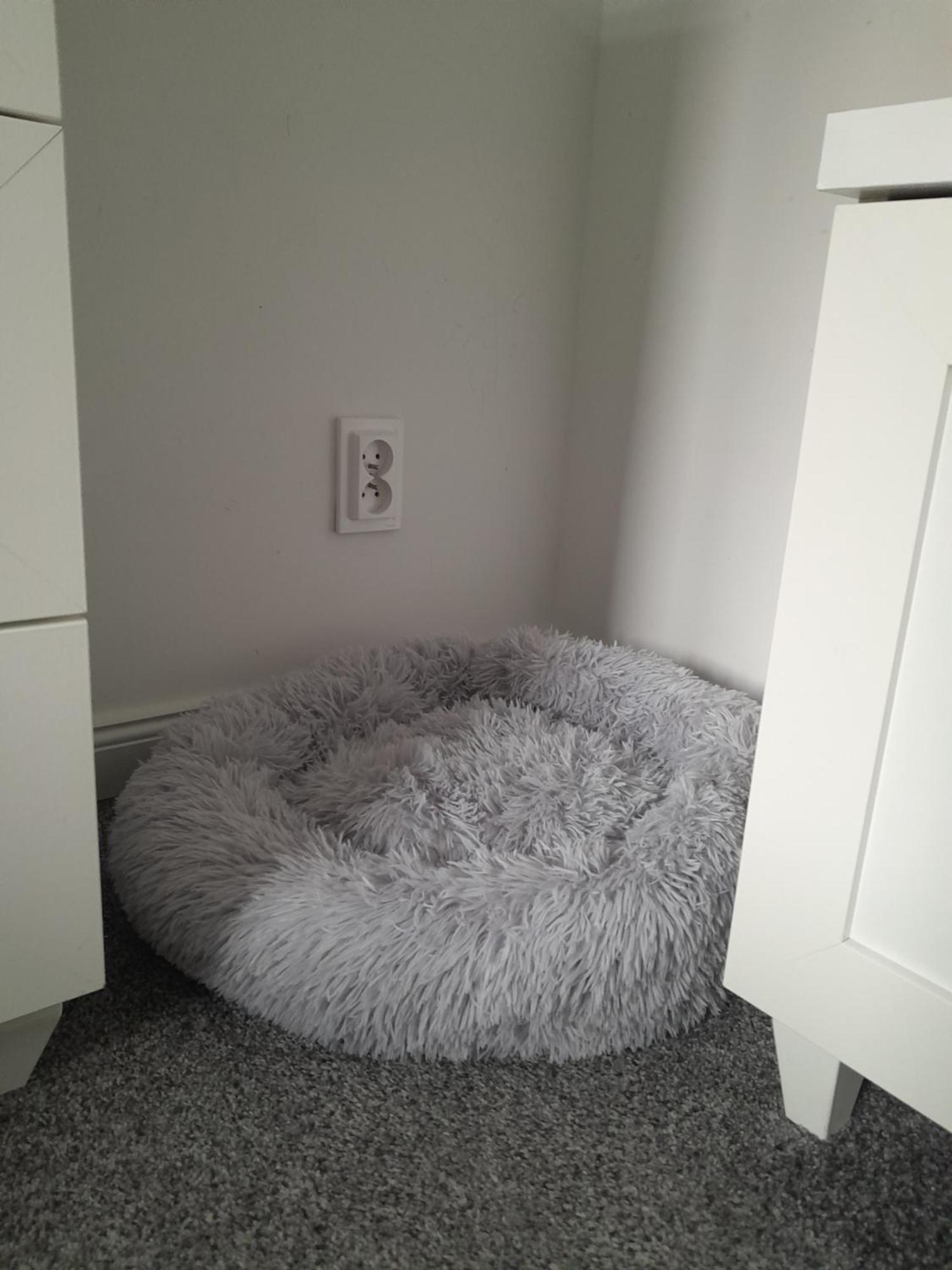 Apartament "Konie I Anioly" Boguszow-Gorce Ngoại thất bức ảnh